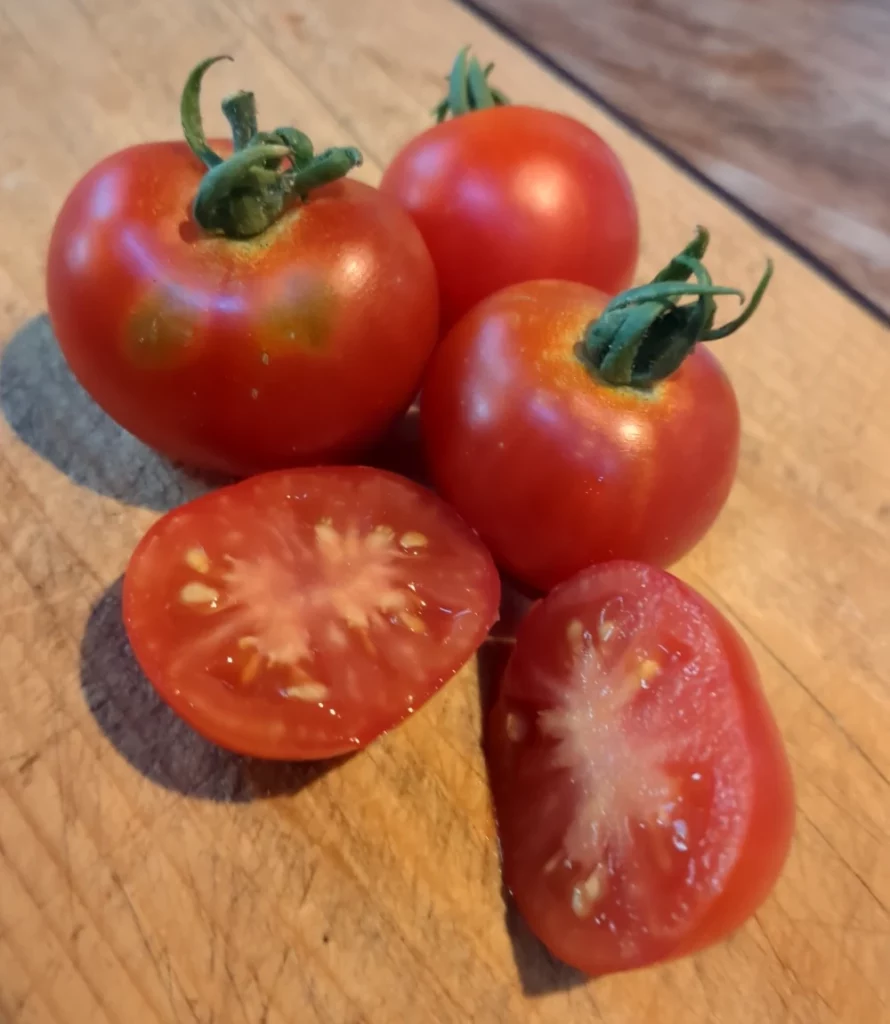 Des tomates précoce de Quimper coupé en deux sur une planche, on y voit les graines et la chaire