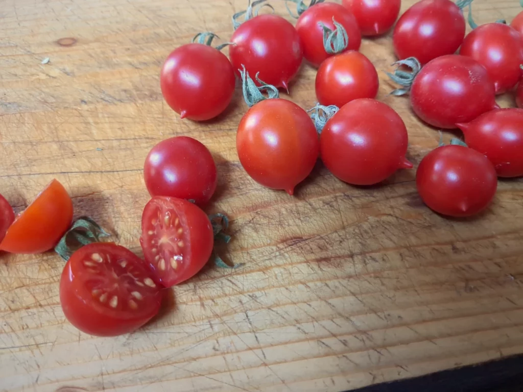 Une petite bande de tomate prince borghese sur une planche, ce sont des tomates cerises aptes au séchage