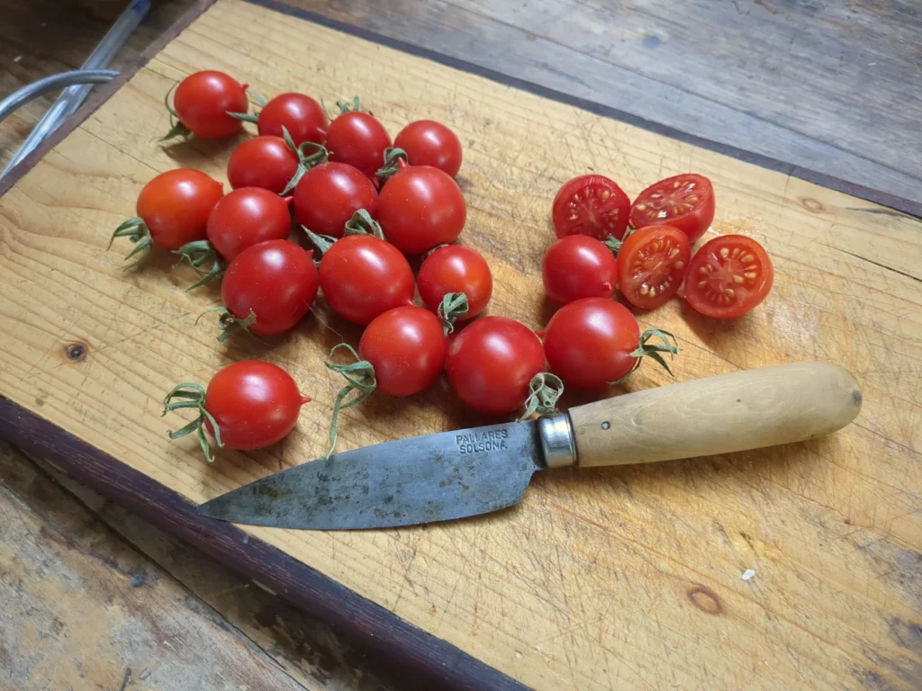 Des tomates cerises sur une planche a découper avec un couteau pour l'échelle, cest tomates sont bio et aptes au séchage