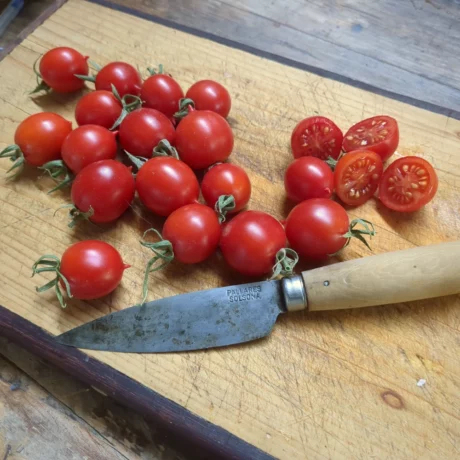 Des tomates cerises sur une planche a découper avec un couteau pour l'échelle, cest tomates sont bio et aptes au séchage
