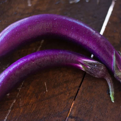 Graines biologiques reproductibles de Aubergine Ping Tung - Pensez Sauvage