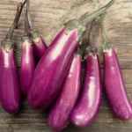 Aubergine "slim jim"