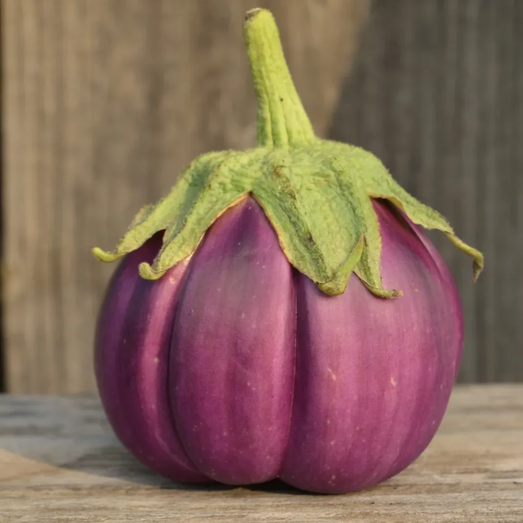 une aubergine en premier plant d'un violet plutot pale avec son chapeau vert, cette image est très belle