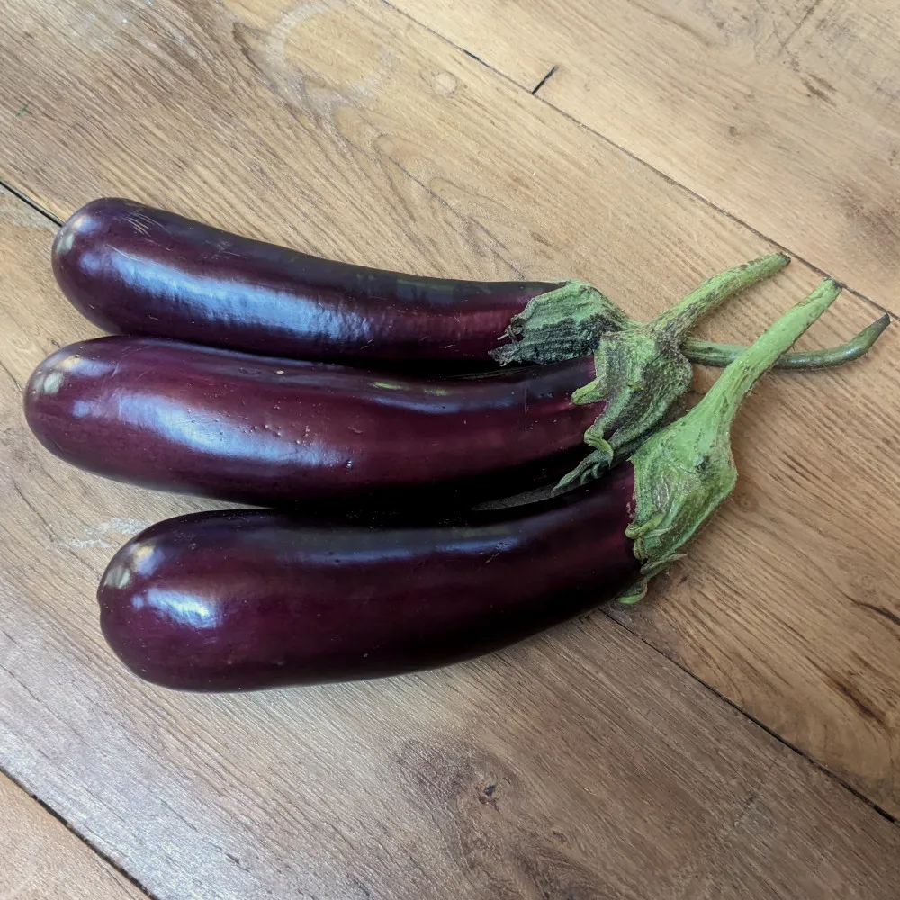 L'image montre trois aubergines de la variété violette de Toulouse alignées sur un sol en bois. Elles ont une forme allongée et une couleur violet foncé, avec une surface lisse et brillante, révélant leur fraîcheur. Les tiges sont encore attachées aux fruits, vertes et légèrement texturées. Les aubergines semblent bien mûres, uniformes en taille, et prêtes pour la récolte ou la consommation.