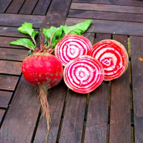 L'image montre des betteraves misent en scène, c'est la variété di chioggia!