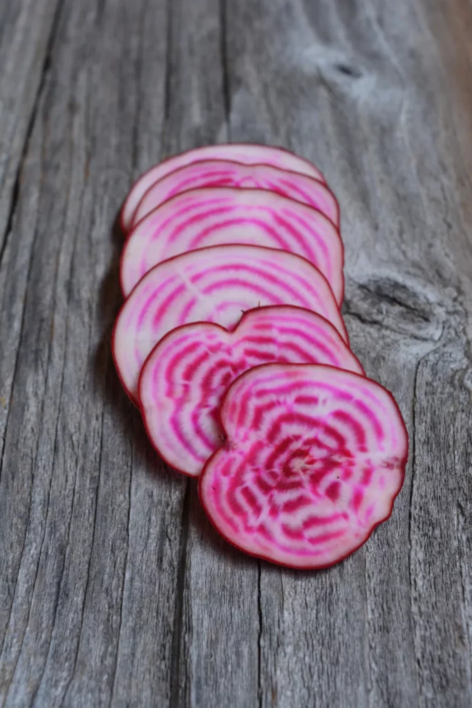 L'image montre des rondelles de la fameuse variété de betterave 'Di Chioggia' les rondelles sont apétissantes