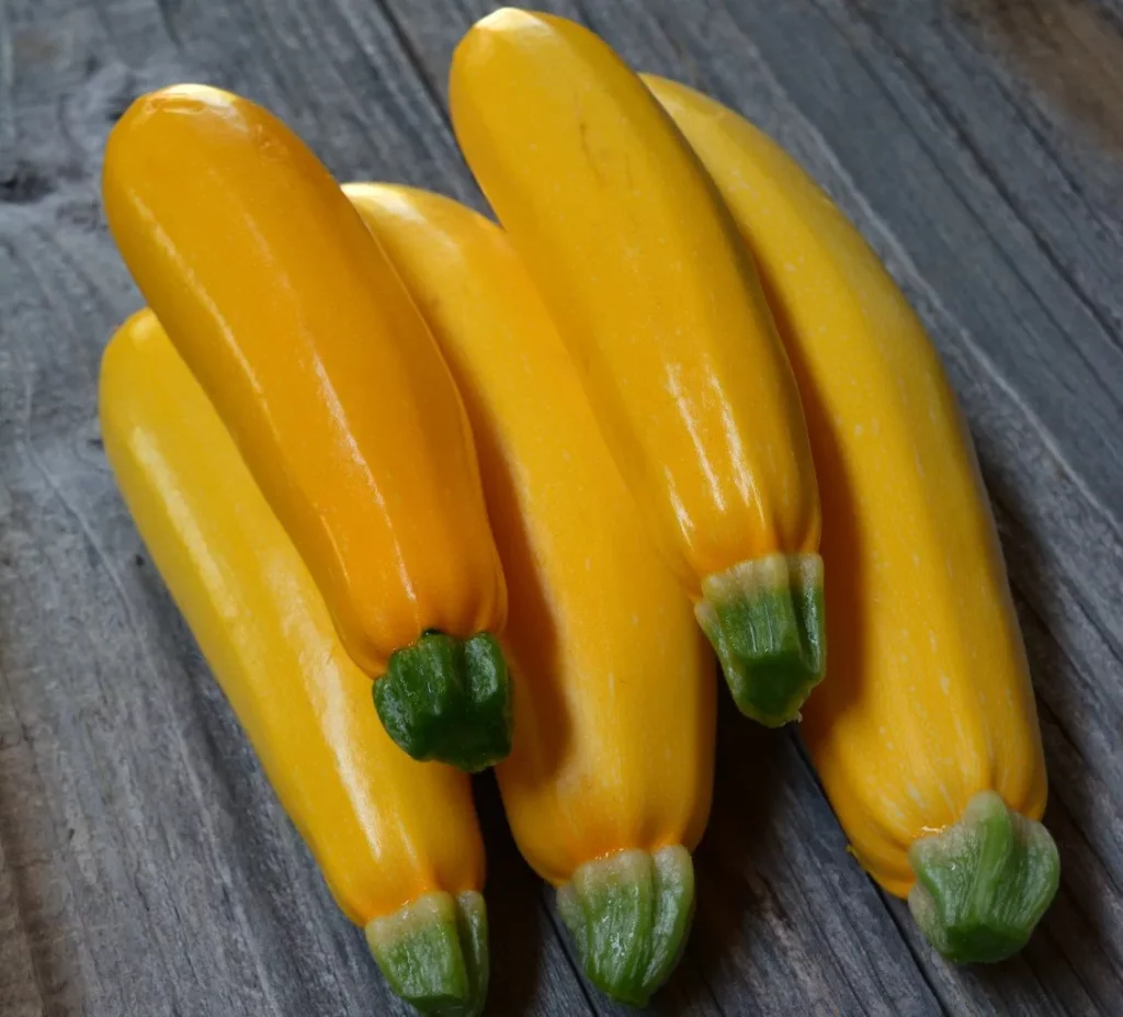 voici cinq courgettes de la variété gold rush, elle sont en tas sur une table en bois, elles ont l'air délicieuses!