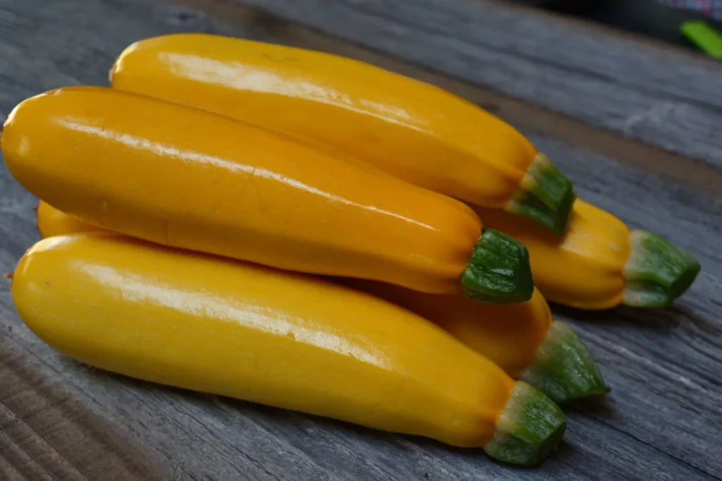 cinq courgettes jaunes sur une table, elles sont récoltées assez jeunes, il sagit de la variété Gold Rush