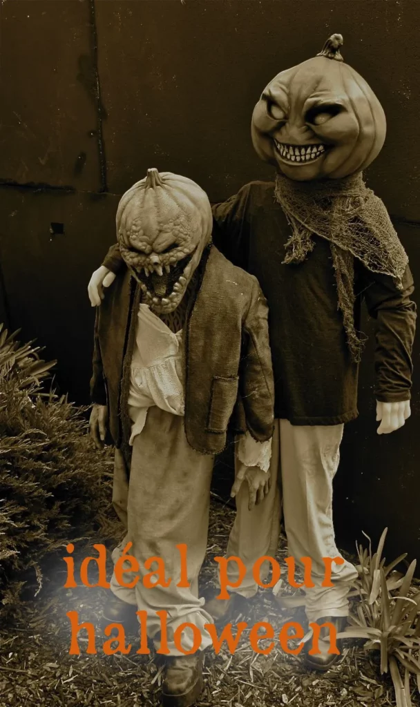 Graines biologiques reproductibles de Jack be Little - Pensez Sauvage