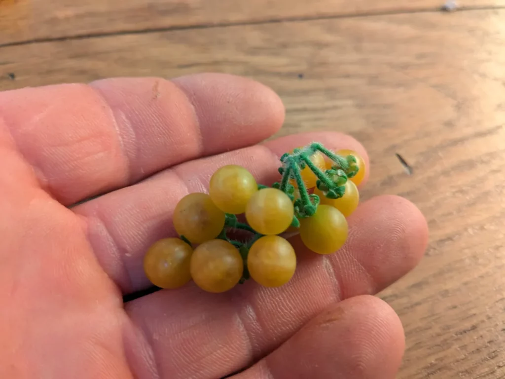 Une grappe de morelle jaune dans la main d'un célèbre aviateur