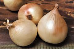Graines biologiques reproductibles de Oignons doux des Cévennes - Pensez Sauvage