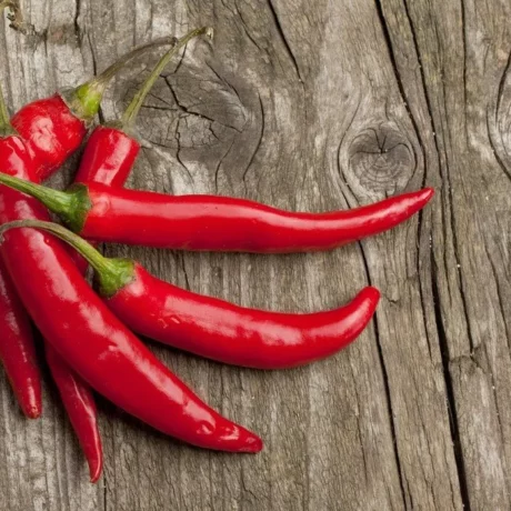 semences biologiques et reproductibles de piment de Cayenne