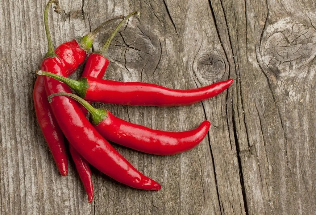 semences biologiques et reproductibles de piment de Cayenne
