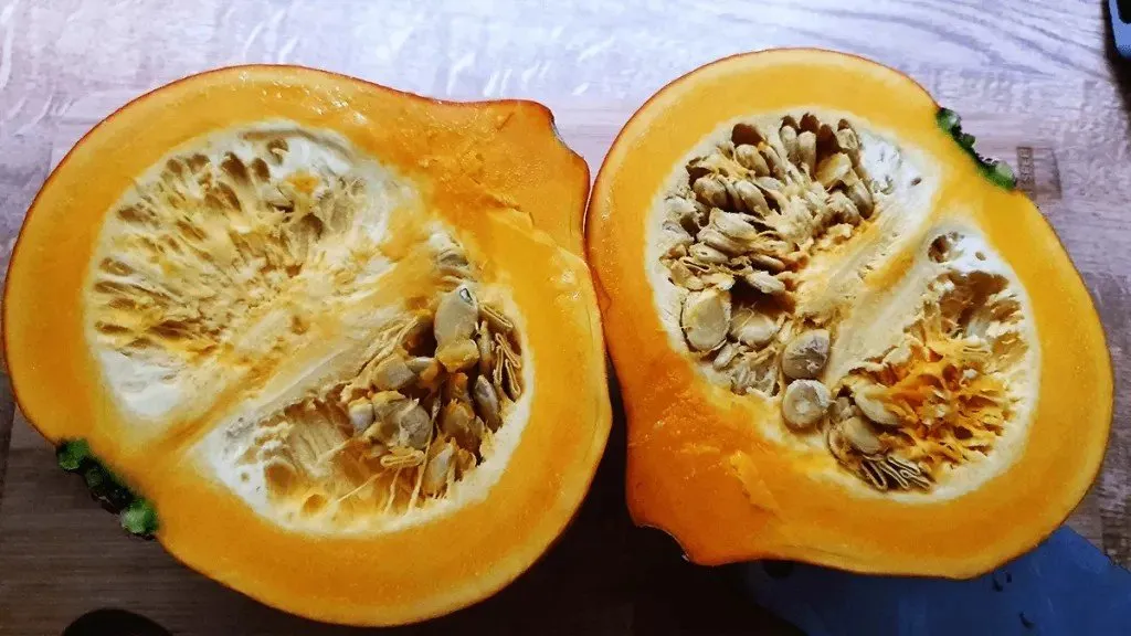 Un potimarron Little Gem Kuri coupé en deux, on y apperçoit les graines à l'interieur, la chaire est orange et apétissante