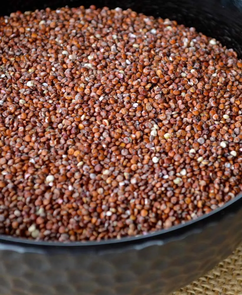 L'image montre un gros plan d'une quantité de graines de quinoa de couleur rouge-brun, rassemblées dans un récipient sombre. Les graines sont de petite taille et présentent une surface légèrement texturée, avec des nuances allant du brun clair au rouge profond, ponctuées de quelques éclats plus clairs. La texture et les détails des grains individuels sont bien visibles, mettant en avant leur aspect croquant et la densité de l'ensemble.