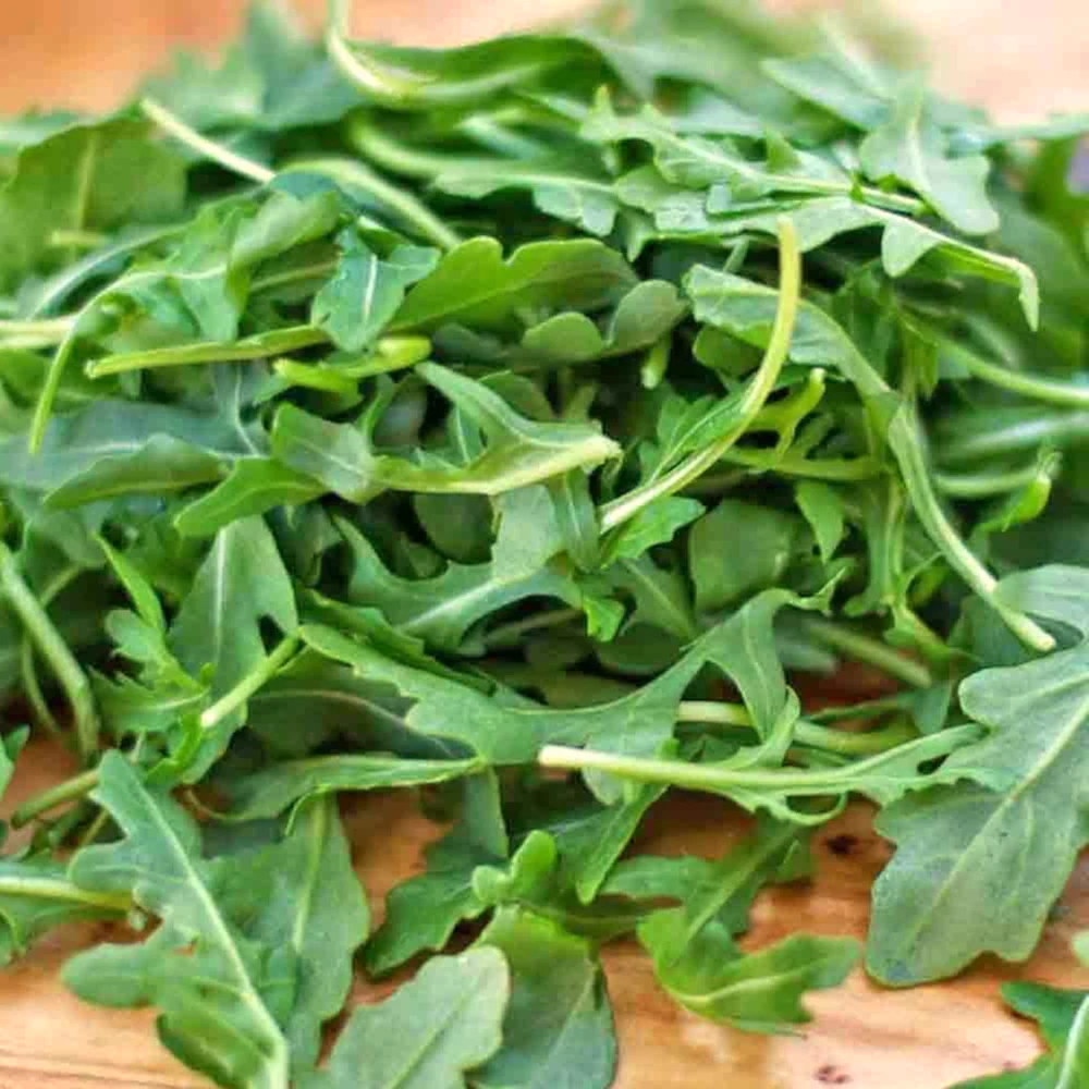Tas de jeunes feuilles de roquette fraîchement cueillies, vert soutenu, fines et allongées, au parfum poivré et piquant typique. On devine leur fraîcheur et leur texture légèrement croquante.