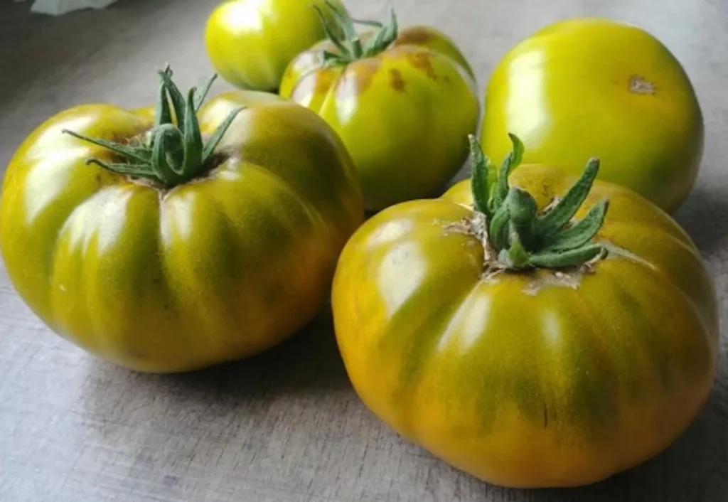 L'image montre quatre tomates vertes sur une planche en bois grise