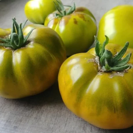 L'image montre quatre tomates vertes sur une planche en bois grise
