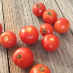Tomate Balkonstar