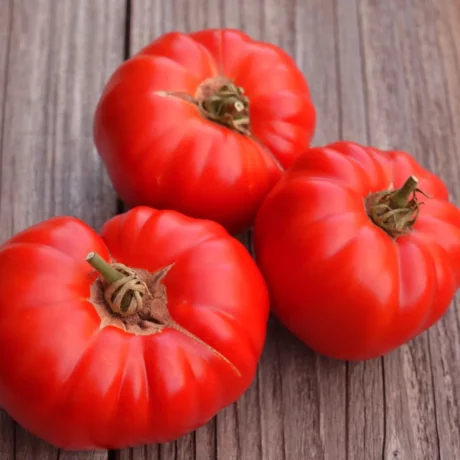 L'image montre de grosse tomate rouges et juteuses