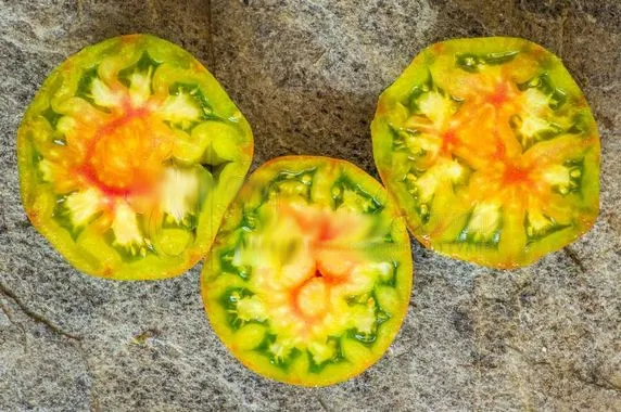 Graines biologiques reproductibles de Tomate "Berkeley Tie Dye" - Pensez Sauvage