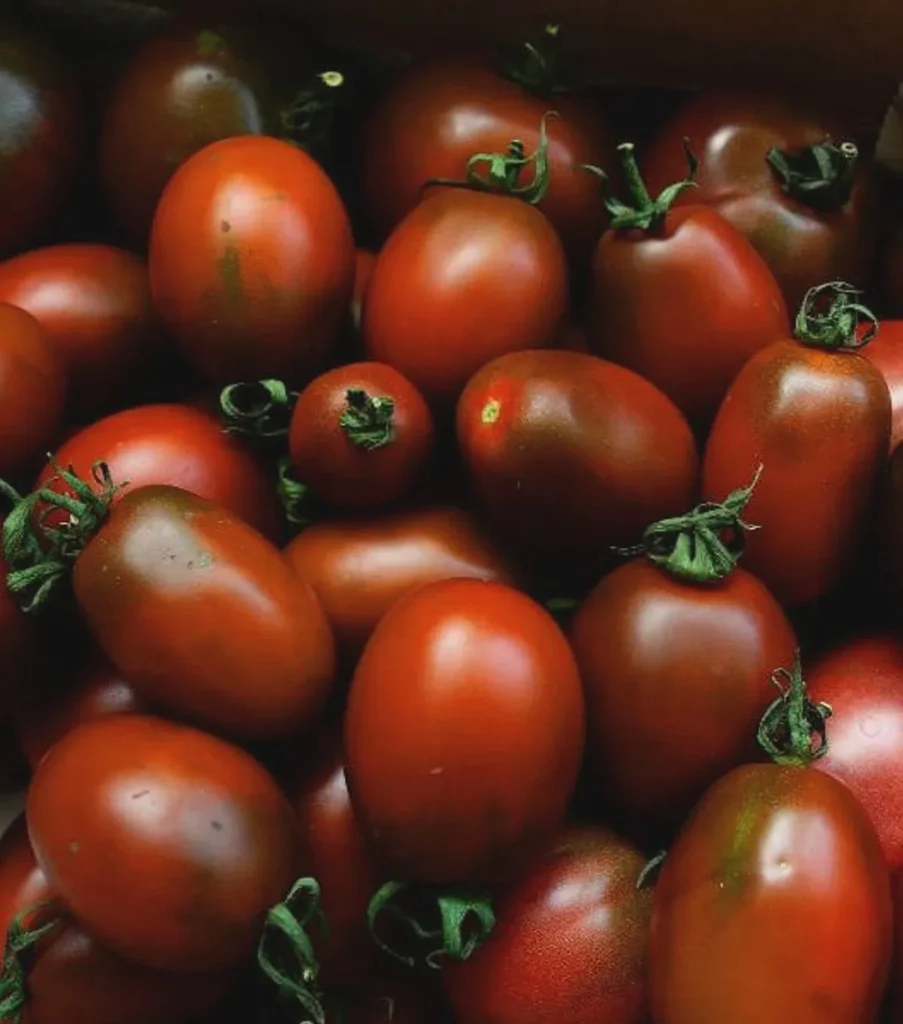Graines biologiques reproductibles de Tomate "Black Mavr" - Pensez Sauvage