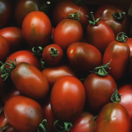 Graines biologiques reproductibles de Tomate "Black Mavr" - Pensez Sauvage