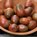 Tomate "Black Plum"