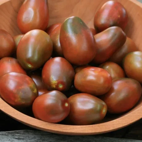 Graines biologiques reproductibles de Tomate "Black Plum" - Pensez Sauvage