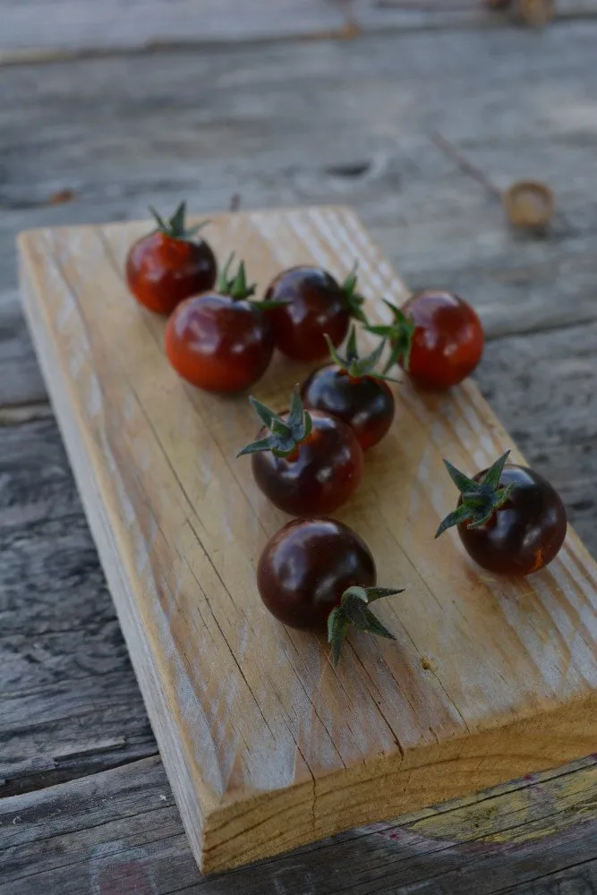 Quelques tomate Blue Berries sur une planche