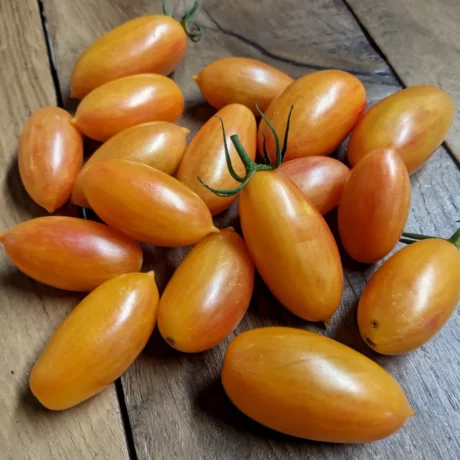 un tas de plusieurs tomate jaunes orangées sur une table en bois
