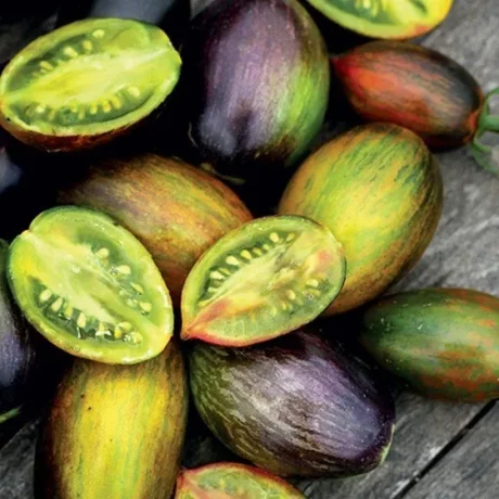 Sur cette image, on voit un groupe de tomates de la variété Brad's Atomic Grape disposées sur une surface en bois. Ces tomates sont de forme ovale et légèrement allongée, avec des extrémités parfois pointues. Leur couleur est un mélange unique de vert, de rouge, de jaune et de nuances violacées, avec des motifs zébrés ou marbrés, ce qui leur donne un aspect multicolore distinctif. Les tomates montrent des variations dans leurs teintes, certaines étant plus rougeâtres tandis que d'autres présentent davantage de vert ou de violet, reflétant leur maturité et la particularité visuelle de cette variété.