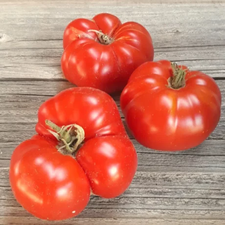 L'image montre trois belles tomates cotelées sur une planche en bois