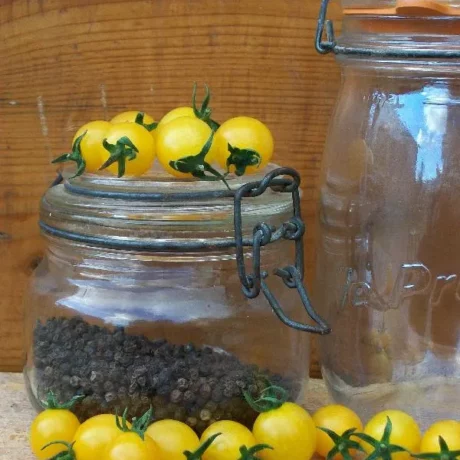Graines biologiques reproductibles de Tomate "Broad ripple" - Pensez Sauvage