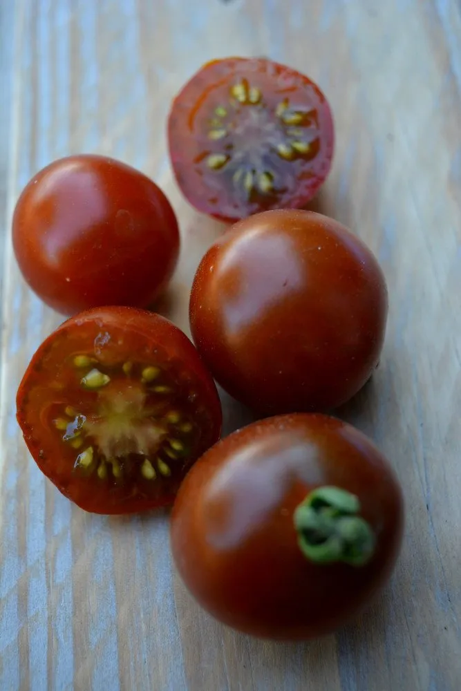 Graines biologiques reproductibles de Tomate "Brown Berry" - Pensez Sauvage