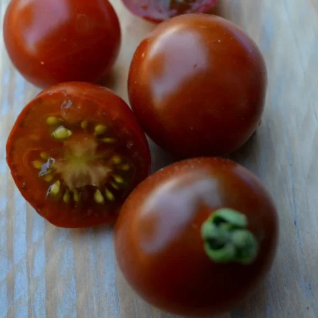 Graines biologiques reproductibles de Tomate "Brown Berry" - Pensez Sauvage