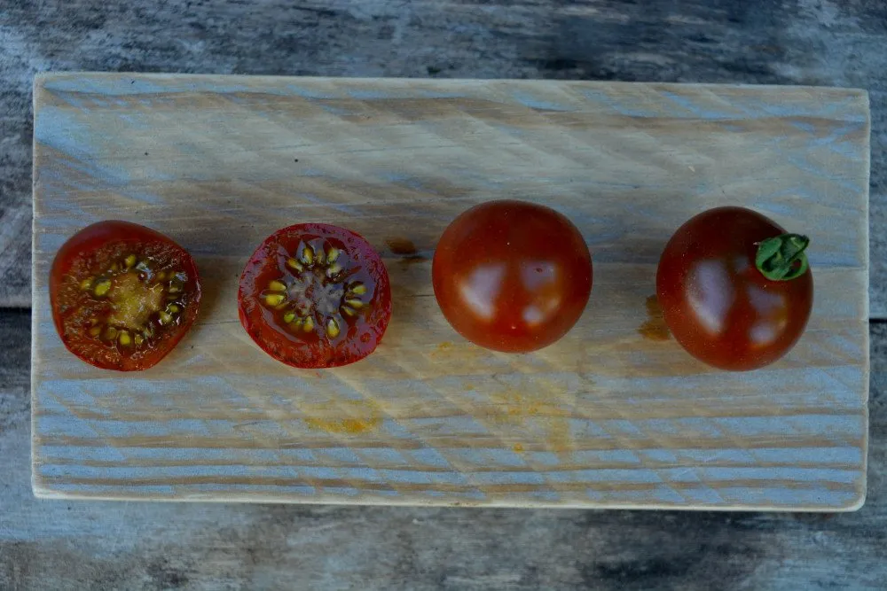 Graines biologiques reproductibles de Tomate "Brown Berry" - Pensez Sauvage