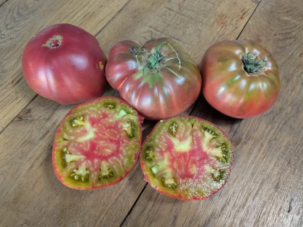 des tomates captain lucky sur une table