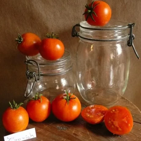 Graines biologiques reproductibles de Tomate "Caro rich" - Pensez Sauvage