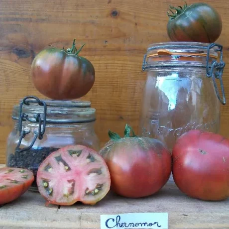 Graines biologiques reproductibles de Tomate "Chernomor" - Pensez Sauvage