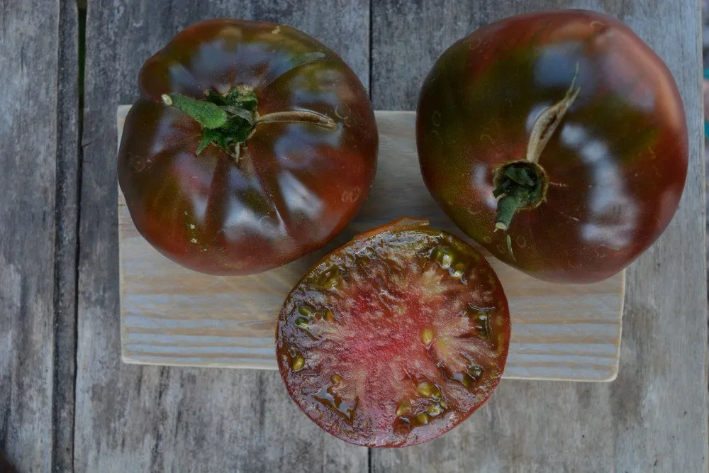 Graines biologiques reproductibles de Tomate "Cherokee Purple" - Pensez Sauvage