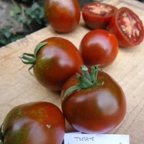 Graines biologiques reproductibles de Tomate "Chocolat" - Pensez Sauvage