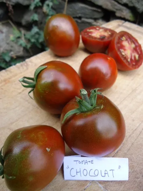 Graines biologiques reproductibles de Tomate "Chocolat" - Pensez Sauvage