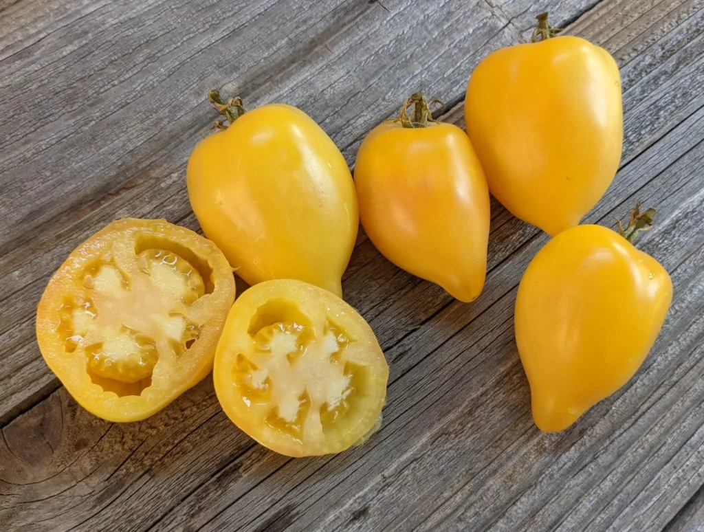L'image montre des tomates jaunes sur une planche grise, certaines sont coupées en deux