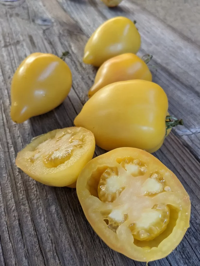 L'mage montre des tomates jaunes certaines sont coupées en deux, les autres sont entières, elles sont sur une planche en bois