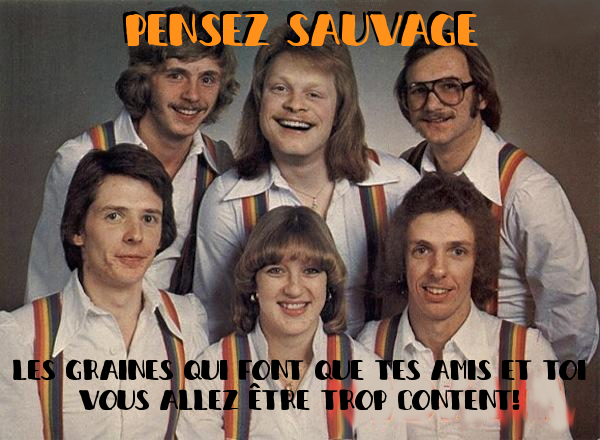 Graines biologiques reproductibles de Tomate "Coeur de boeuf japonais" - Pensez Sauvage