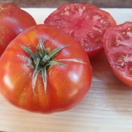 Graines biologiques reproductibles de Tomate "Cosmonaut Volkov" - Pensez Sauvage