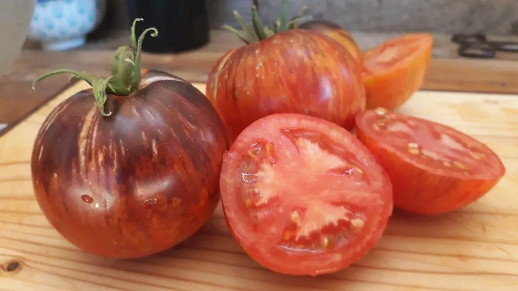 Graines biologiques reproductibles de Tomate "Dark Tiger" - Pensez Sauvage