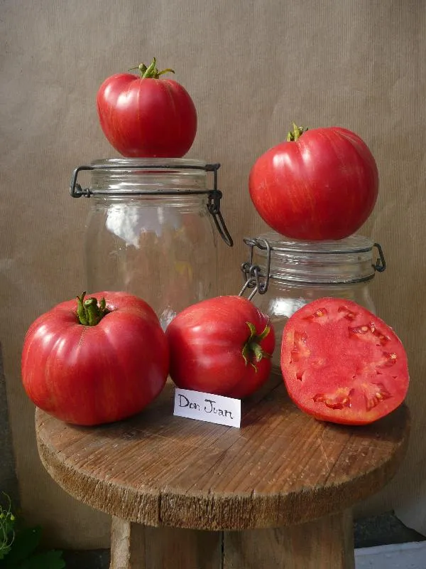 Graines biologiques reproductibles de Tomate "Don juan" - Pensez Sauvage