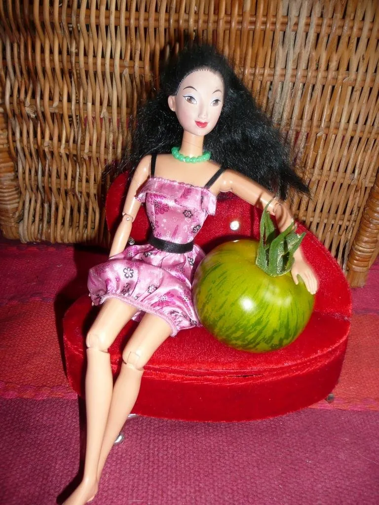 Une tomate green zebra dans les bras d'une belle nana